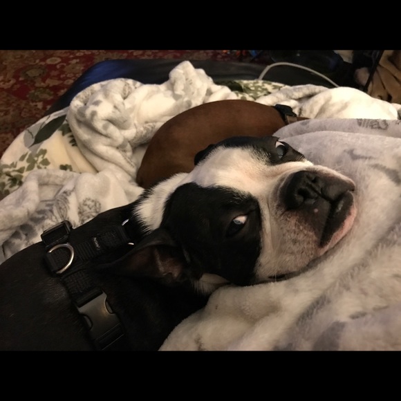 Meet your Posher, Lori - Picture 13 of 16